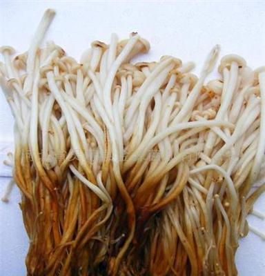 产地直供 大量供应 优质原料 腌渍黄金针菇