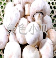 （企事业单位、学校、政府、机关）配送批发 绿色食用菌 鲜圆蘑菇