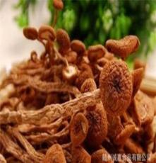 诚惠食品 批发大量干货 干香菇 主产茶树菇