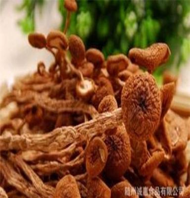 诚惠食品 批发大量干货 干香菇 主产茶树菇