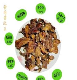 東北黃滑松茸 干松蘑 粘團蘑 黃滑松茸 松蘑條500克批發(fā)