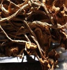 直供茶树菇 干货 味道鲜美 纯真自然 大量茶树菇批发