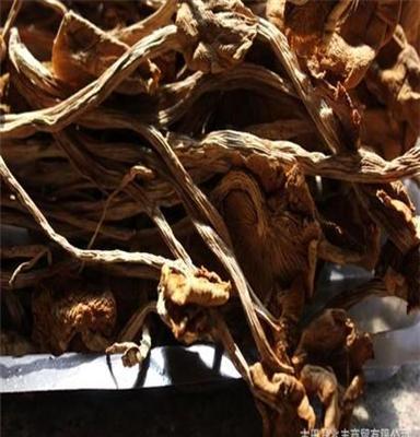 直供茶树菇 干货 味道鲜美 纯真自然 大量茶树菇批发