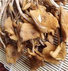大亨食品 天然野生绿色食品 食用菌 茶树菇 250g/ 包