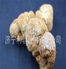 东北特产猴头菇 干猴头菇 优质品质 农家猴头菇
