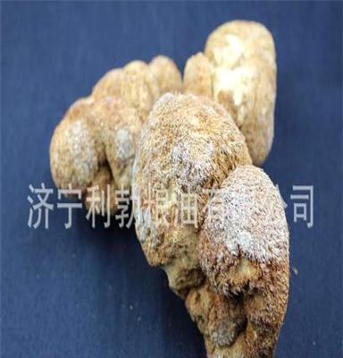 东北特产猴头菇 干猴头菇 优质品质 农家猴头菇