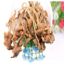 特产川珍食品 青川特级茶树菇 来自大山里的绿色食品