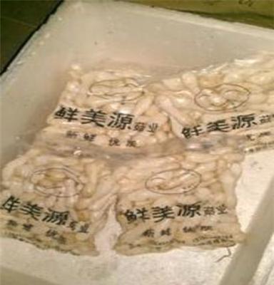 新鲜鸡腿菇 质量好 长期四季供应 鲜美源食用菌 一箱起批