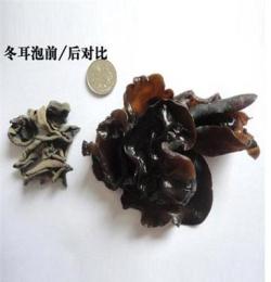 干貨特產 一級椴木木耳批發 優質產品 特產 客情商務禮品優選