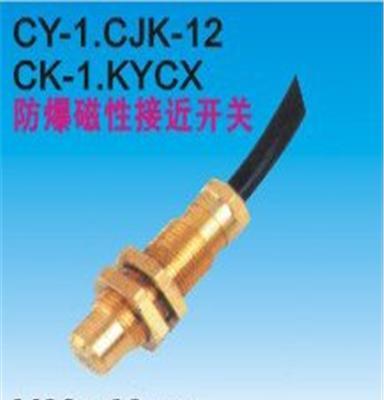 防爆磁性接近开关.CY-.CY-.KCY-.KCY--温州市最新供应