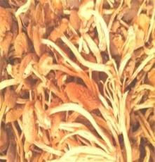 小额批发茶树菇/供应优质茶树菇