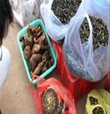 青川特产特级野生黑牛肝菌干货100g 野生蘑菇食用菌 爆炒