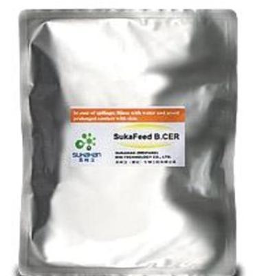 SUKAClean S/T化粪池、卫生间除臭除污生物制剂