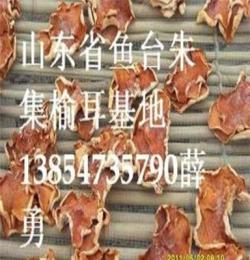 干貨食用菌榆耳的食用食譜