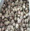 干蘑菇批发，干蘑菇特价，干蘑菇价格