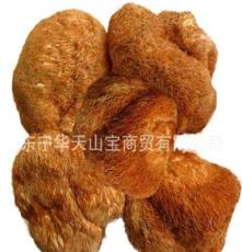 华天山宝 东北特产 特级猴头菇  猴头蘑菇 猴头菌 益气养胃