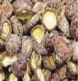 天津批發(fā)干草菇金針菇