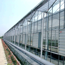 文洛型玻璃温室 蔬菜温室大棚 宁夏连栋温室