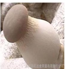 永和旺达食用菌平菇
