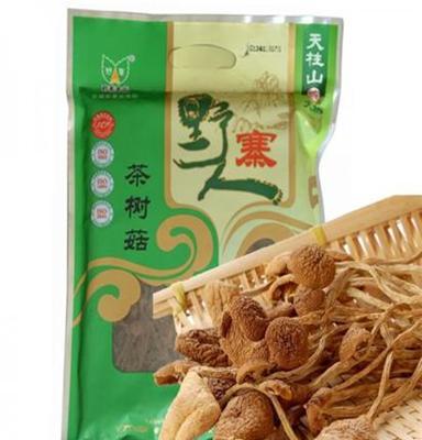 茶树菇 天柱山特产茶树菇 食用菌菌种茶树菇