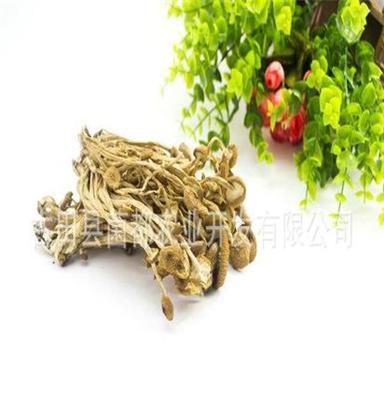 批发生产 茶树菇 茶树菇批发