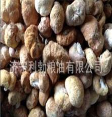 优质供应 批发供应干猴头菇 东北特产猴头菇 优质品质