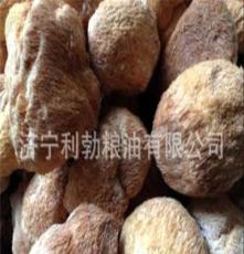 厂家批量供应原产地优质猴头菇 价格优惠 优质品质