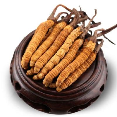 轩尼诗百乐廷酒楼回收来一壶好酒