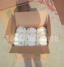 苍山县洪川菌业 出售优质头茬金针菇 保证信誉
