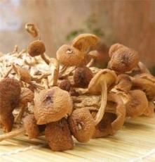 食用菌批发 特级茶树菇 出口茶薪菇 冰菇苞 不开伞 200g 亚西雅