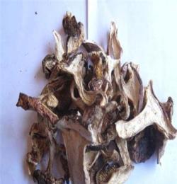 供应西藏林芝野生青冈菌蘑菇