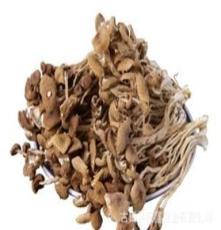 厂价直销 优质食用菌 茶树菇 干货 山珍 干茶树菇 特级