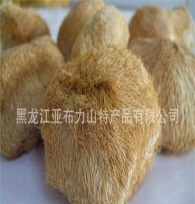 亚特 散装 东北猴头菇 猴头蘑 亚特精品 特产