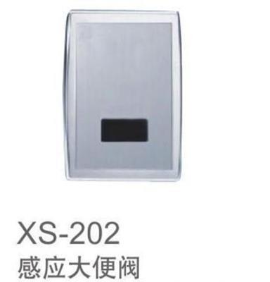 自发电感应大便冲水器，感应大便阀,大便器,蹲便器XS-202