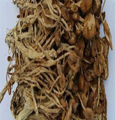 浙江丽水畲乡 天然特级有机茶树菇香菇干货 有机特产绿色食品