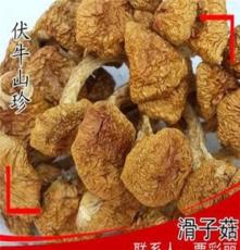 滑子菇干货 珍珠菇 小鸡黄蘑菇 滑子蘑 特产500g