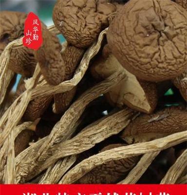 2016年新农家自产半野生茶树菇干货250g