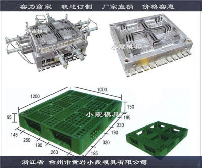 中国模具1.2X1米叉车塑胶栈板模具