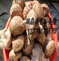 硒康壽富硒香菇，富硒食用菌，有機(jī)硒，鮮香菇，干香菇