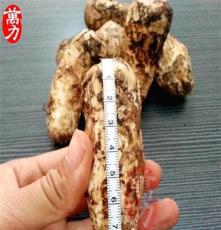 预售 2014年新鲜野生食用菌野生松茸菌特级出口5-7cm产地批发