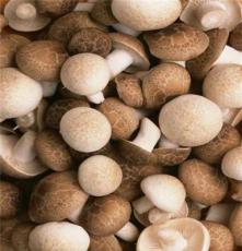 便宜的香菇，裕隆祥农业供应—促销香菇