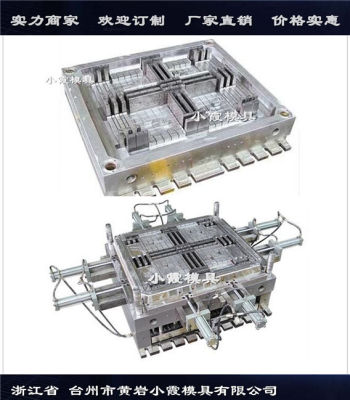 1210双面网格注射托盘模具