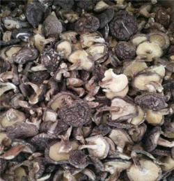 龙岩野生红菇图片