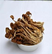 三明茶树菇土特产干货