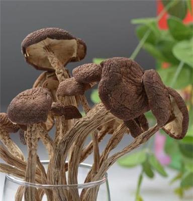 福建特产 茶树菇 200g 特级干货野生菌 食品低价批发