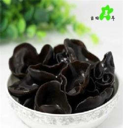 中国食用菌之都古田新鲜黑木耳批发产地碗耳秋耳品质领先东北木耳