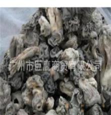巴楚蘑菇 羊肚菌 野生羊肚菌 新疆蘑菇 广州 新疆特产