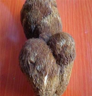 2014新货东北土特产特级野生猴头菇猴头蘑养胃山珍食品菌