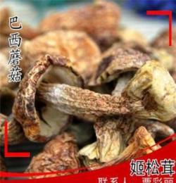 特級姬松茸 茸蘑菇 特級姬松茸 巴西蘑菇 姬松菌 姬松菇干貨500g