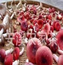 福建红菇 山里红 二红菇 真红菇 产地批发直销 规格 等级 多